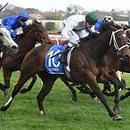 quezette stakes bet on